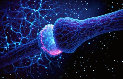 Childhood Dementia Explained by Synaptic Dysfunction, Opens New Therapies