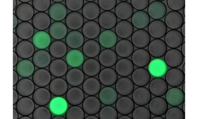 What this AI epitope library means for vaccines, immunotherapy and biosensors