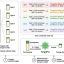 AI drug target platform pairs prediction with benchmarking to improve early discovery