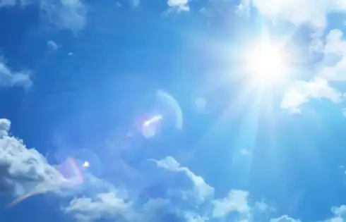 Sun Pharma beams up Organon in $11.75B acquisition