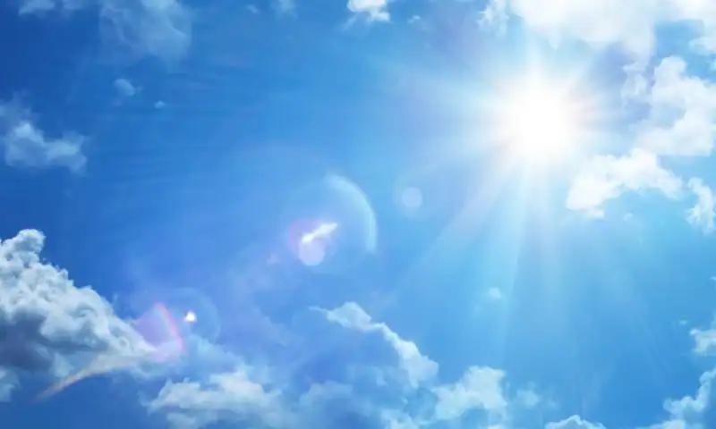 Sun Pharma beams up Organon in $11.75B acquisition