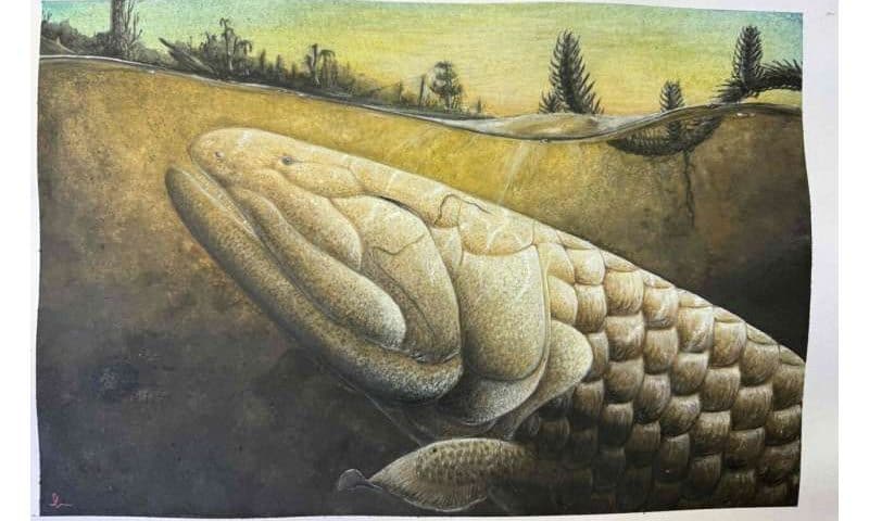 Inside the skull of a Devonian fish from Gondwana, revealed by neutron imaging