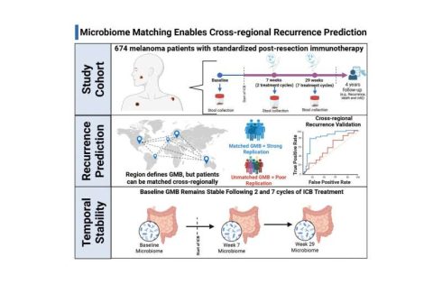 Gut ‘microbial fingerprints’ predict melanoma recurrence with up to 94% accuracy