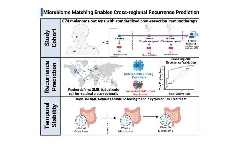 Gut ‘microbial fingerprints’ predict melanoma recurrence with up to 94% accuracy