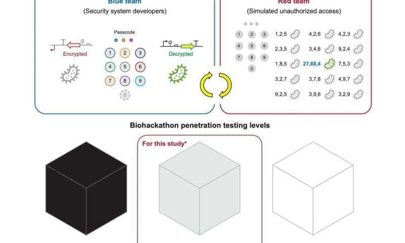 Hackers meet their match: New DNA encryption protects engineered cells from within