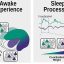 How the brain replays past emotional experiences during sleep