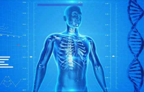 Cutting calories to slow aging—without compromising health