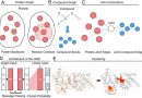 AI diffusion models tailor drug molecules to custom-fit protein targets, speeding drug development and evaluation