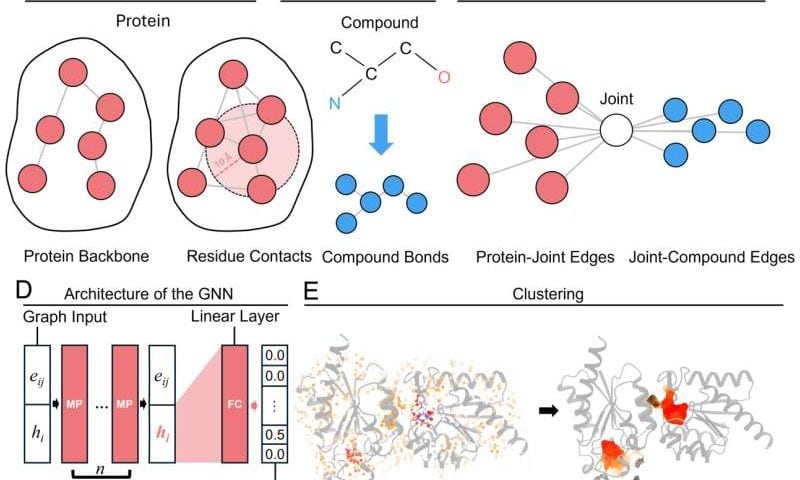 AI diffusion models tailor drug molecules to custom-fit protein targets, speeding drug development and evaluation