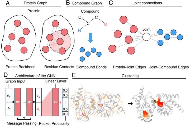 AI diffusion models tailor drug molecules to custom-fit protein targets ...