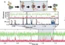 Revolving doors and efficient engines: How proteins escape a molecular tangle