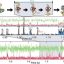 Revolving doors and efficient engines: How proteins escape a molecular tangle
