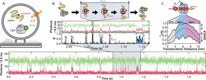 Revolving doors and efficient engines: How proteins escape a molecular tangle