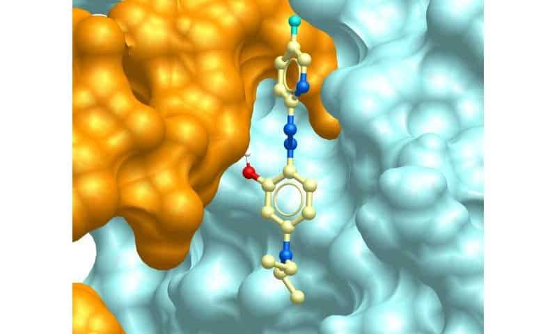 First-in-class molecules dial down inflammation without compromising immunity