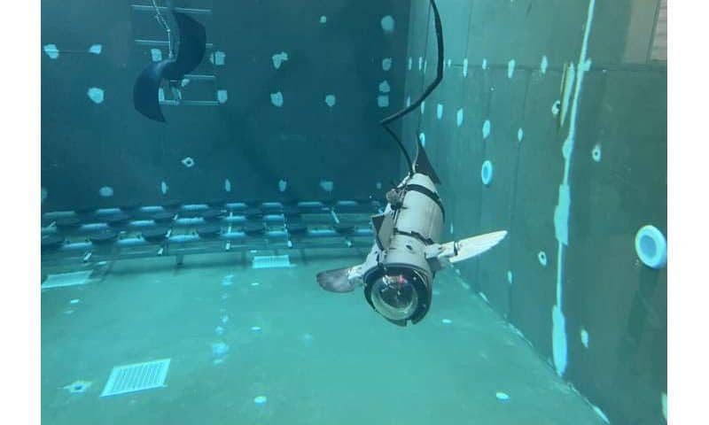 Robotic fish prototype cuts aquaculture stress while inspecting nets and water