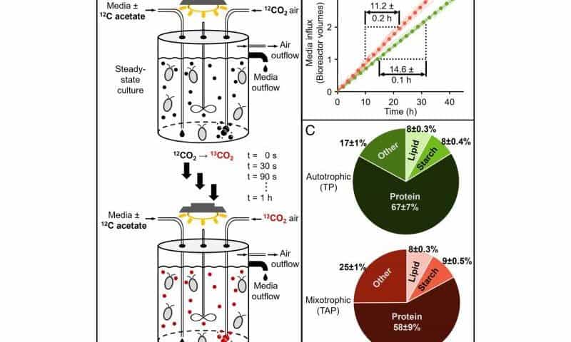 Unlocking the hidden metabolism of algae to advance the promise of renewable fuels and sustainable biomass