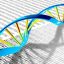 With large DNA fragment assembly, scientists can design microbes that produce countless complex products