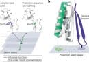 A roadmap for safer, explainable protein-design AI