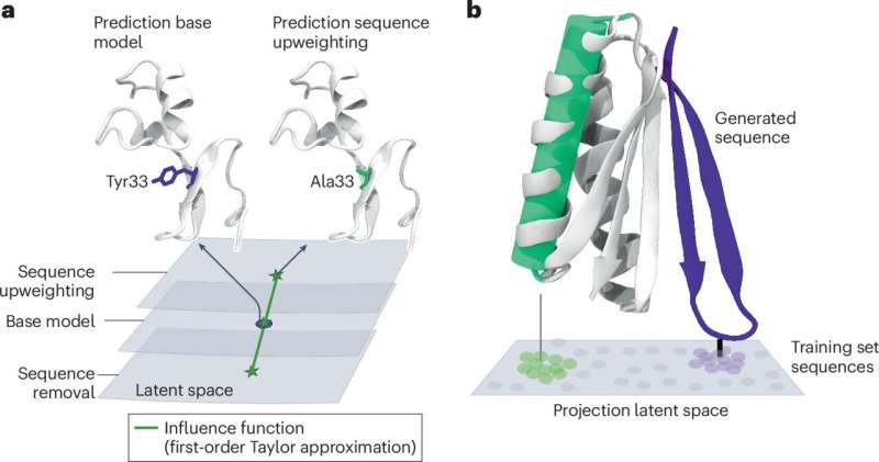 A roadmap for safer, explainable protein-design AI