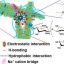 Water-based nanocrystal provides a sticky solution to a pesky agricultural problem