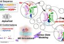 Bacterial energy enzyme reveals dual-trigger sodium pump mechanism, offering antibiotic clues