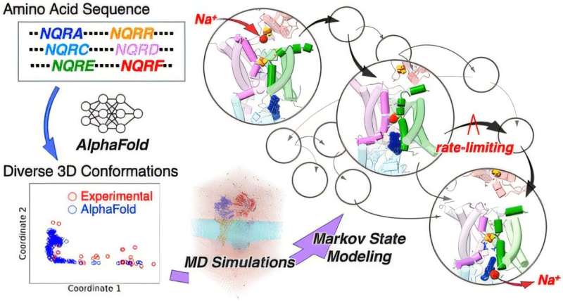 Bacterial energy enzyme reveals dual-trigger sodium pump mechanism, offering antibiotic clues
