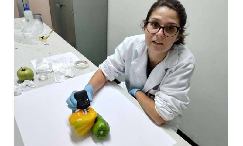 Biodegradable sensors attached to plants detect pesticides in 3 minutes
