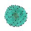 Successfully treated acute myeloid leukemia patients may hold the key to new CAR T cell therapy