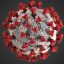 Ultrasound waves rupture COVID-19 and flu viruses without damaging cells