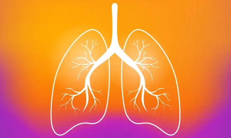 Kelun-Merck validate TROP2-Keytruda pairing in lung cancer with improved survival