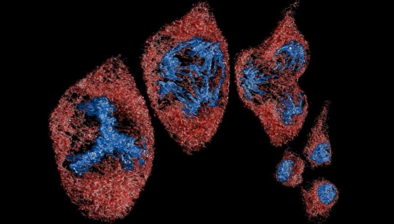 Hi-res microscopes give biologists petabytes of data. Scientists are creating an AI assistant to make sense of it