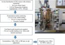 Researchers transform paper sludge into valuable biofuels
