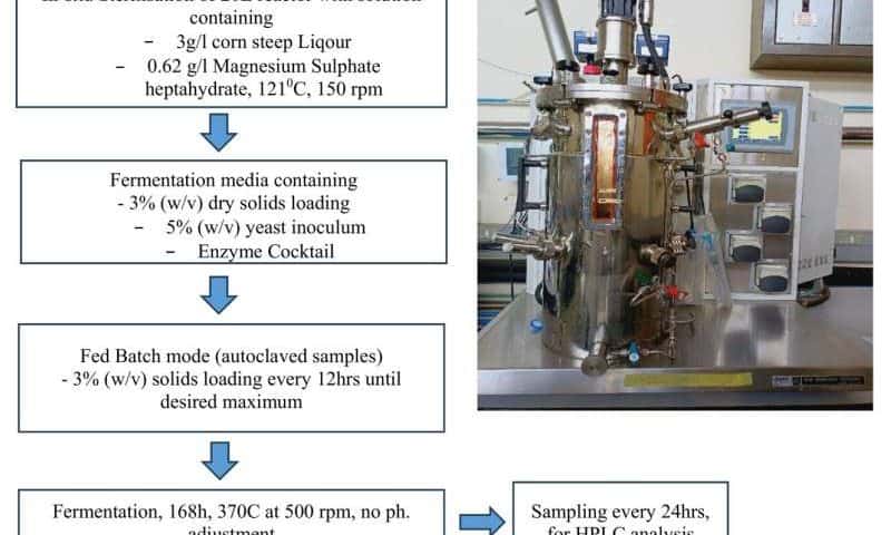 Researchers transform paper sludge into valuable biofuels