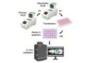 Bioengineers condense protein engineering and testing to a single day