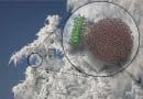 Proteins that create ice inspire ‘cool’ applications, from cryomedicine to artificial snow