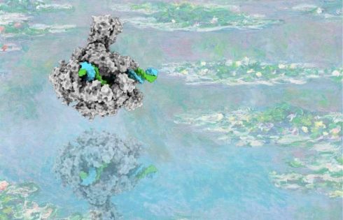 Water molecules found to actively drive gene transcription process