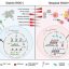 Breast cancer cells with doubled genomes may dodge immunotherapy by turning off key immune signals
