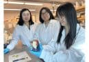 Researchers develop a biodegradable wash that can remove pesticides and keep fruit fresh longer