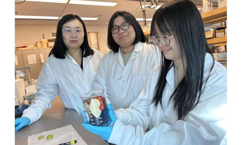 Researchers develop a biodegradable wash that can remove pesticides and keep fruit fresh longer