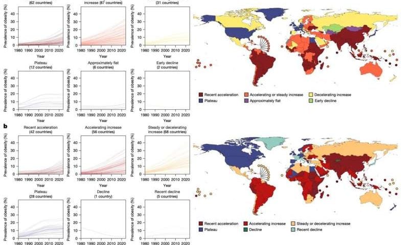 Wealth and health divide: Obesity rates plateau in rich nations but surge in developing world