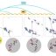 AI fast-forwards molecular simulations by 10,000-fold