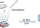 Biopolymer-based hydrogel formulations for improved seed coating performance