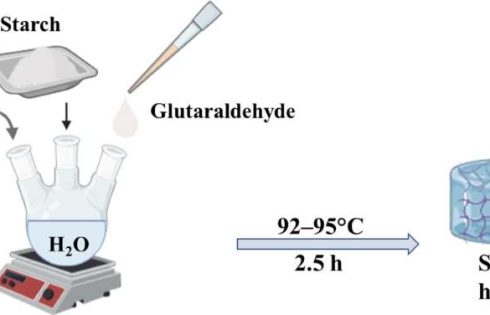 Biopolymer-based hydrogel formulations for improved seed coating performance