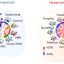 Autism may have two distinct subtypes based on brain connectivity patterns