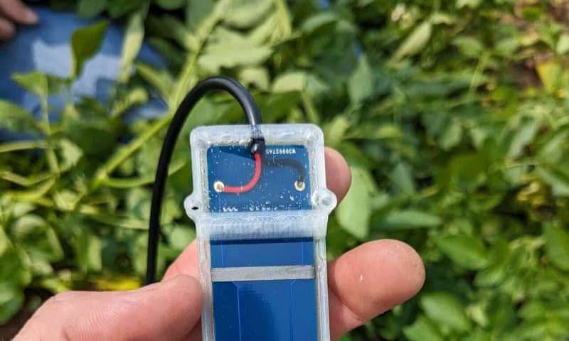 Degradable sensors reveal hidden soil secrets after microbes nibble on them