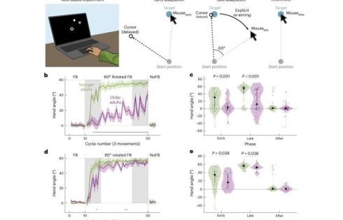 How aging reshapes sensorimotor learning: Older adults may lose explicit strategy but gain implicit adaptation