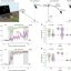 How aging reshapes sensorimotor learning: Older adults may lose explicit strategy but gain implicit adaptation