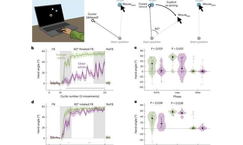 How aging reshapes sensorimotor learning: Older adults may lose explicit strategy but gain implicit adaptation