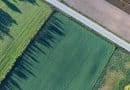 AI offers promise for agriculture, but smallholder farmers risk being left behind