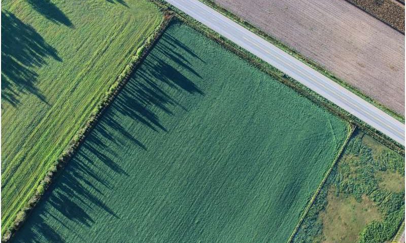 AI offers promise for agriculture, but smallholder farmers risk being left behind